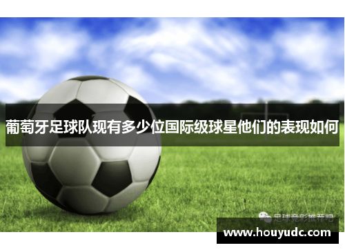 葡萄牙足球队现有多少位国际级球星他们的表现如何
