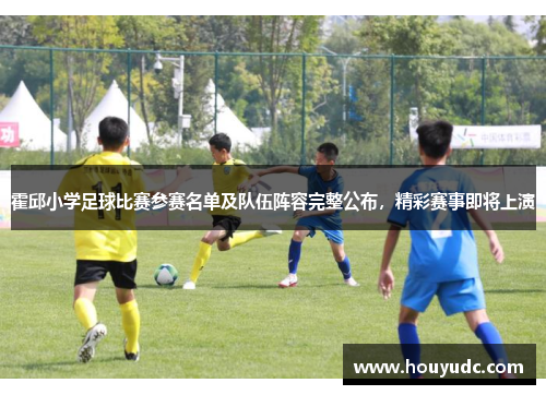 霍邱小学足球比赛参赛名单及队伍阵容完整公布，精彩赛事即将上演